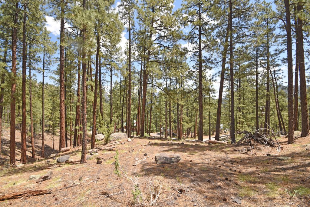 Image 9 of property listing at Lot 6A Cool Pines, Jemez Springs, NM 87025