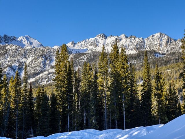 TBD Speaking Eagle, Lot 168A, Big Sky, MT 59716