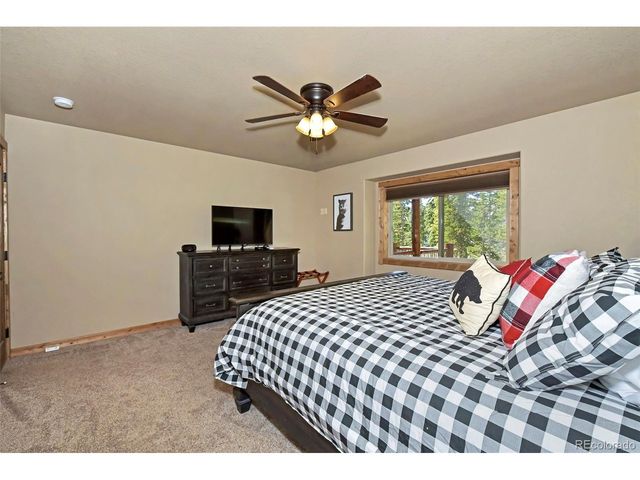 1517 Mountain View Dr, Fairplay, CO 80440