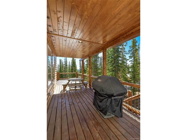 1517 Mountain View Dr, Fairplay, CO 80440