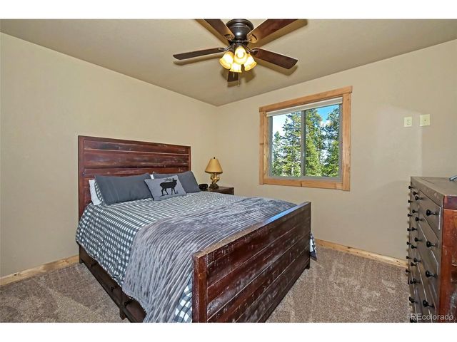 1517 Mountain View Dr, Fairplay, CO 80440