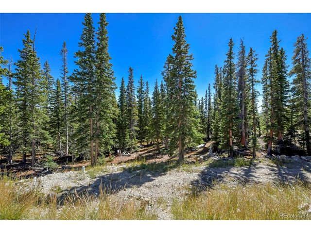 1517 Mountain View Dr, Fairplay, CO 80440