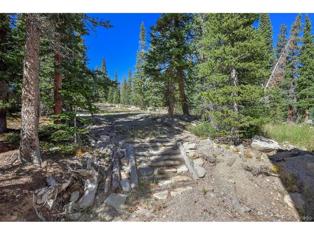 1517 Mountain View Dr, Fairplay, CO 80440