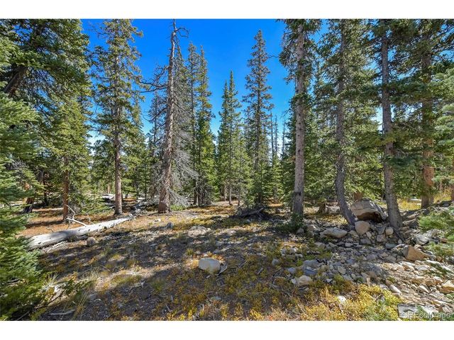 1517 Mountain View Dr, Fairplay, CO 80440