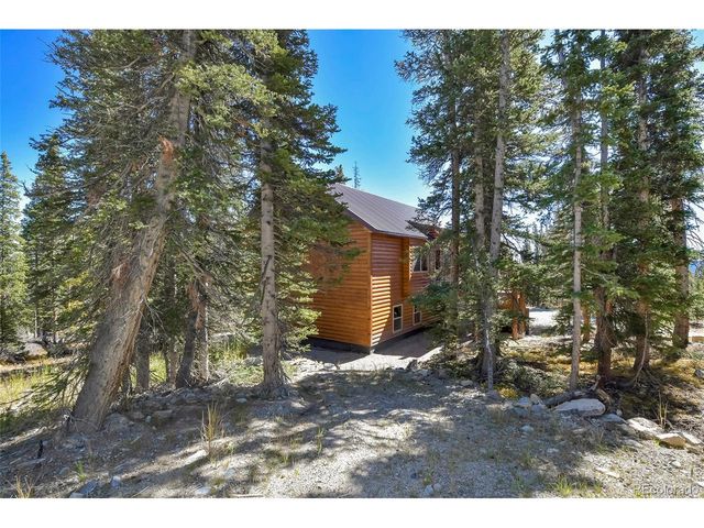 1517 Mountain View Dr, Fairplay, CO 80440