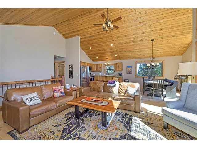 1517 Mountain View Dr, Fairplay, CO 80440