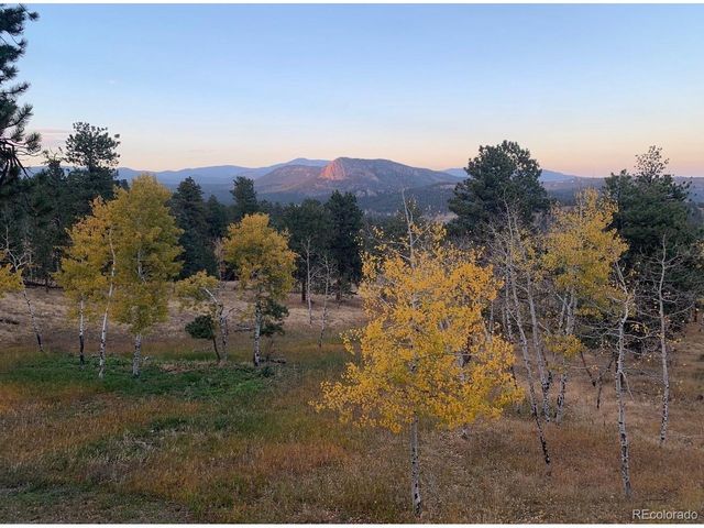 278 Overlook Dr, Bailey, CO 80421