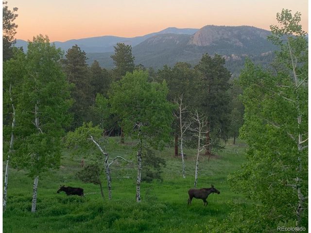 278 Overlook Dr, Bailey, CO 80421