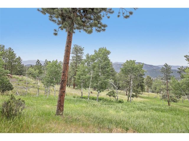 278 Overlook Dr, Bailey, CO 80421