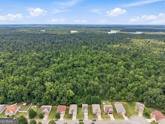 2024 S Sawgrass Drive E, Hampton, GA 30228