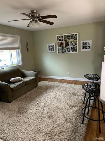 2113 Pincian Drive, Fenton, MO 63026