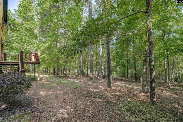 217 Ashley Oaks Drive, Blythewood, SC 29016