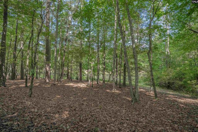 217 Ashley Oaks Drive, Blythewood, SC 29016