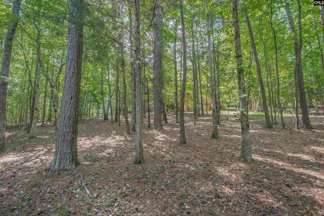 217 Ashley Oaks Drive, Blythewood, SC 29016