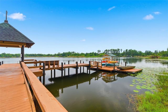 21347 MORNING MIST WAY, Land O Lakes, FL 34637