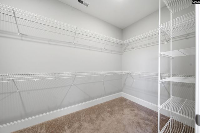 2813 Pepperell Road, Chapin, SC 29036