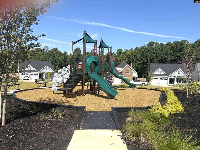 2813 Pepperell Road, Chapin, SC 29036