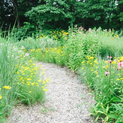 109 Tryon Farm Lane, Michigan City, IN 46360