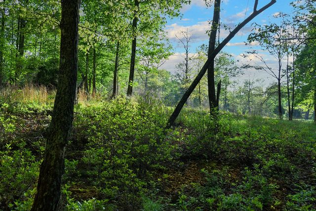 607 Monteagle Falls Rd, Monteagle, TN 37356