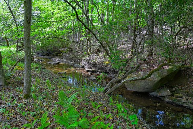 607 Monteagle Falls Rd, Monteagle, TN 37356