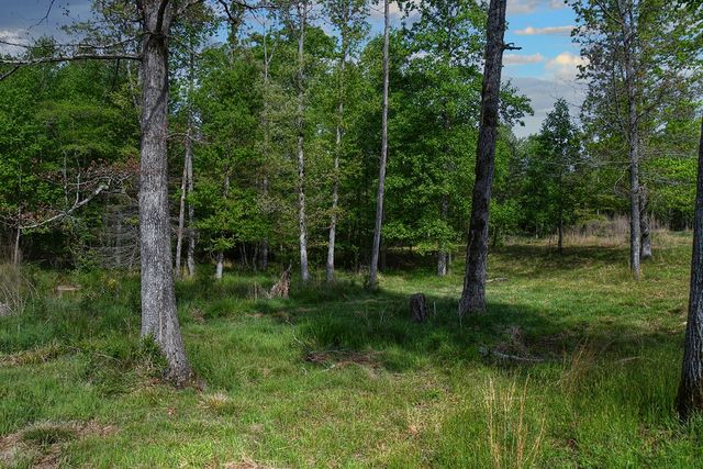 607 Monteagle Falls Rd, Monteagle, TN 37356