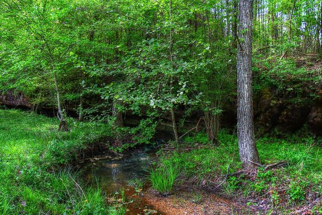 607 Monteagle Falls Rd, Monteagle, TN 37356