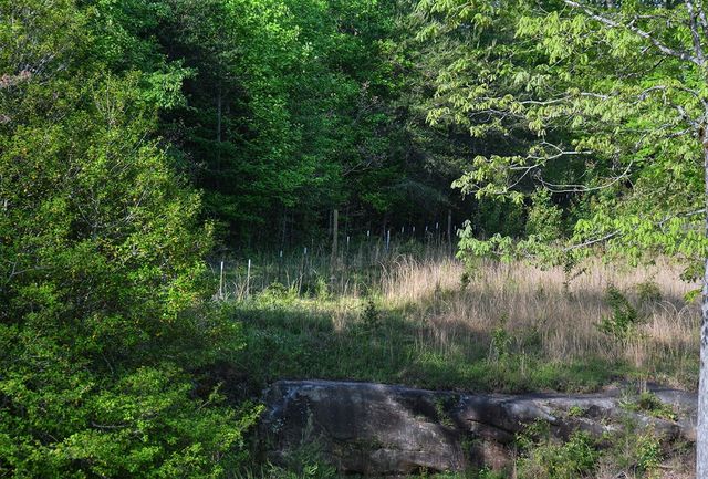 607 Monteagle Falls Rd, Monteagle, TN 37356