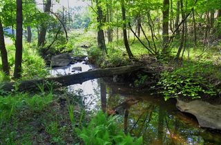 607 Monteagle Falls Rd, Monteagle, TN 37356