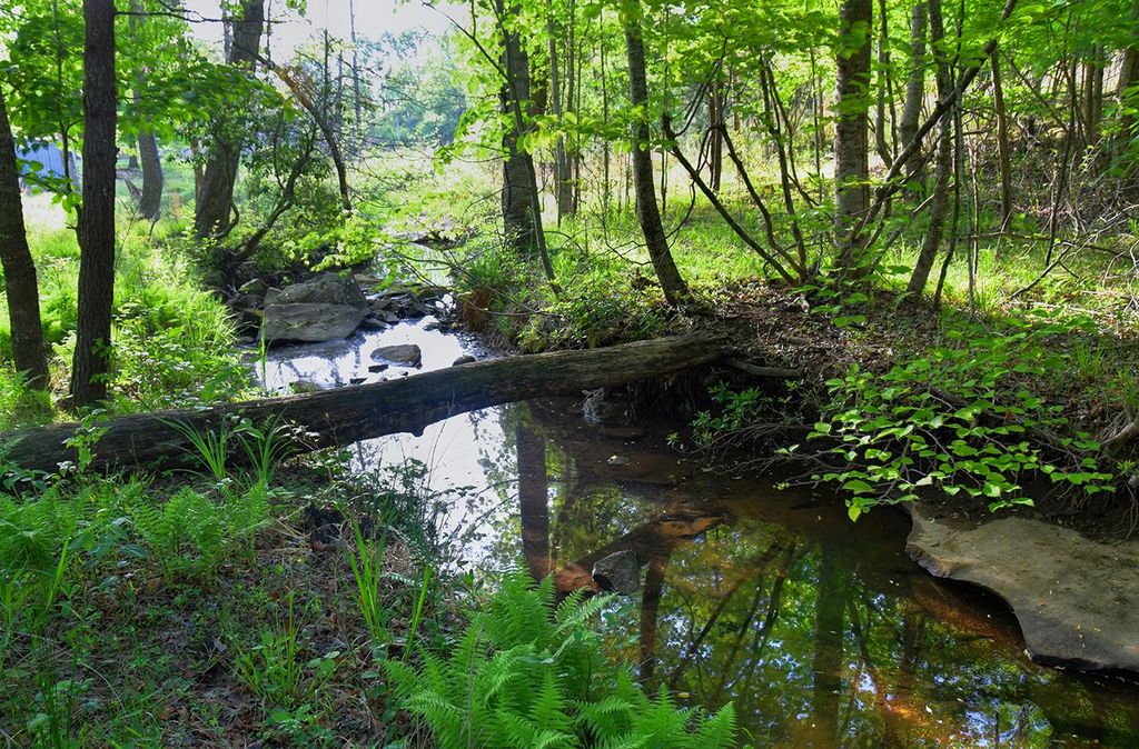 607 Monteagle Falls Rd, Monteagle, TN 37356