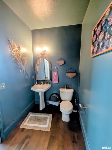 703 MAYFAIR Court, Germantown Hills, IL 61548