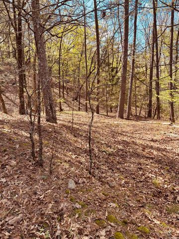 10111 Garrison Road, Little Rock, AR 72223