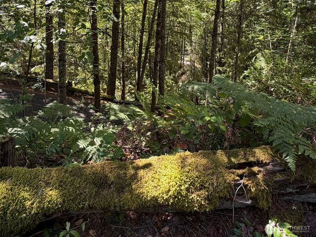 26003 SE Issaquah-Fall City Road, Issaquah, WA 98029