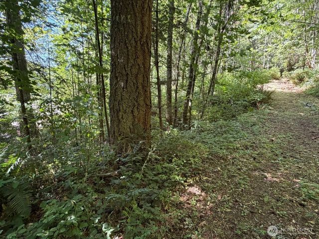 26003 SE Issaquah-Fall City Road, Issaquah, WA 98029