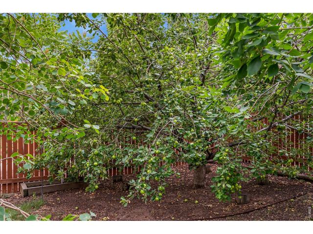 4153 Divide Dr, Loveland, CO 80538