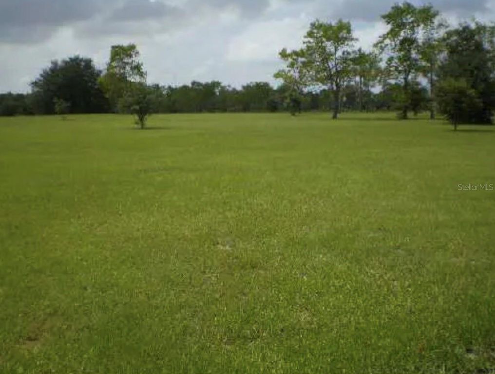 25429 SHETLAND TRAIL, Sorrento, FL 32776