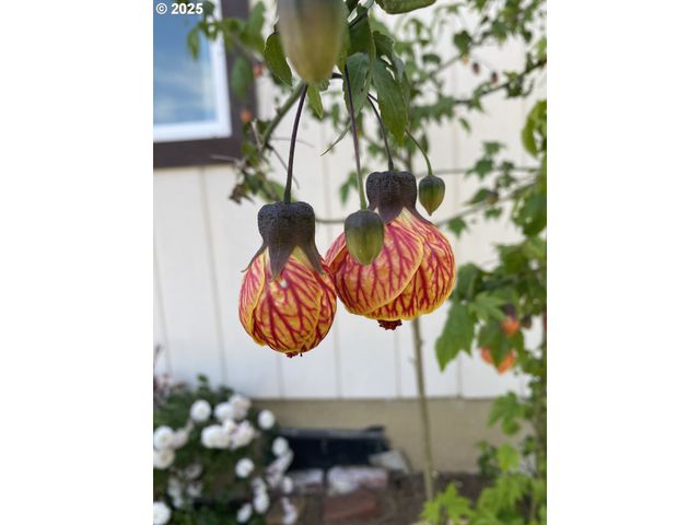 1195 IDAHO Ave, Coos Bay, OR 97420