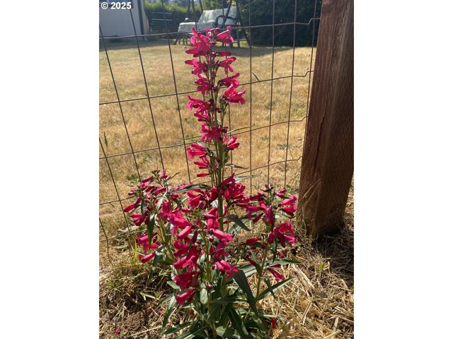 1195 IDAHO Ave, Coos Bay, OR 97420