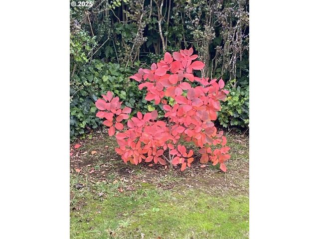 1195 IDAHO Ave, Coos Bay, OR 97420