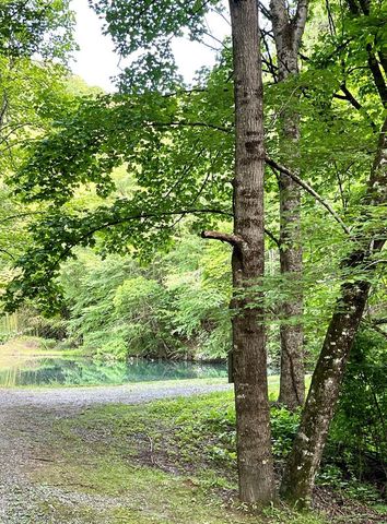 180 Valley Lane, Bryson City, NC 28713