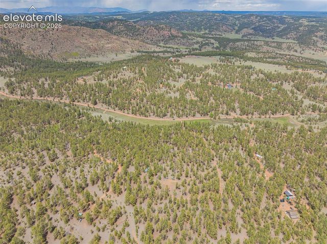 4250 Doe Valley Road, Guffey, CO 80820