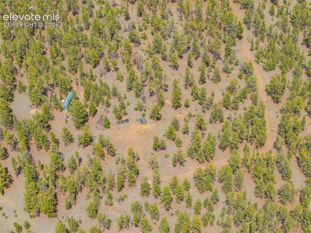 4250 Doe Valley Road, Guffey, CO 80820