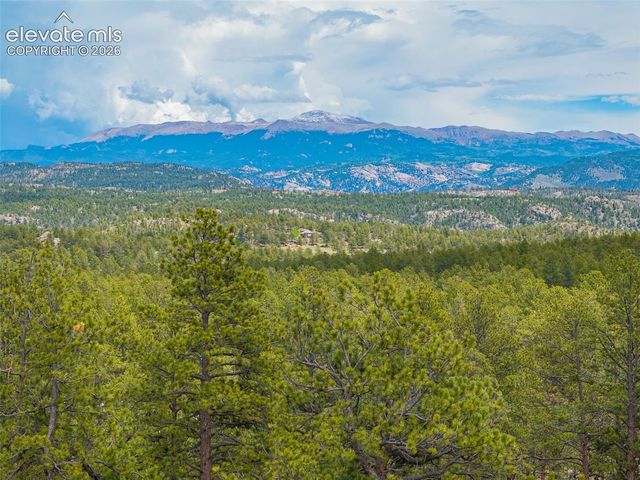 4250 Doe Valley Road, Guffey, CO 80820