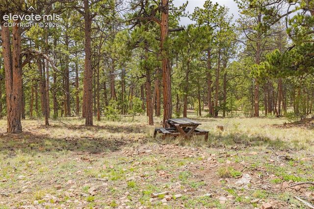 4250 Doe Valley Road, Guffey, CO 80820