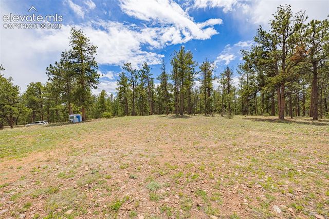4250 Doe Valley Road, Guffey, CO 80820