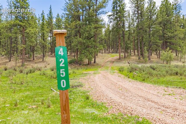 4250 Doe Valley Road, Guffey, CO 80820