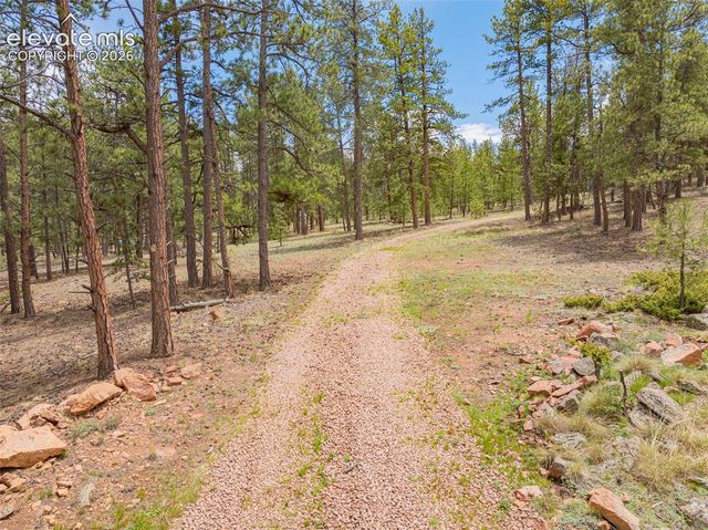 4250 Doe Valley Road, Guffey, CO 80820