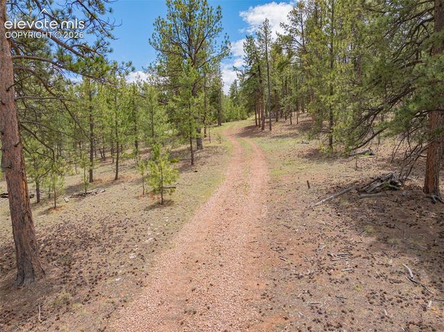 4250 Doe Valley Road, Guffey, CO 80820