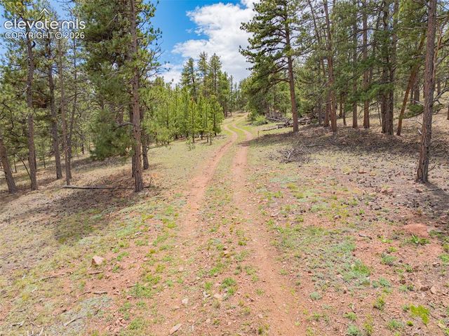 4250 Doe Valley Road, Guffey, CO 80820