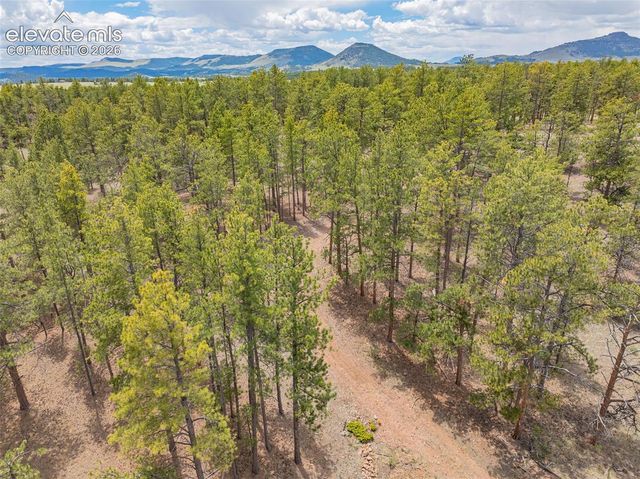 4250 Doe Valley Road, Guffey, CO 80820