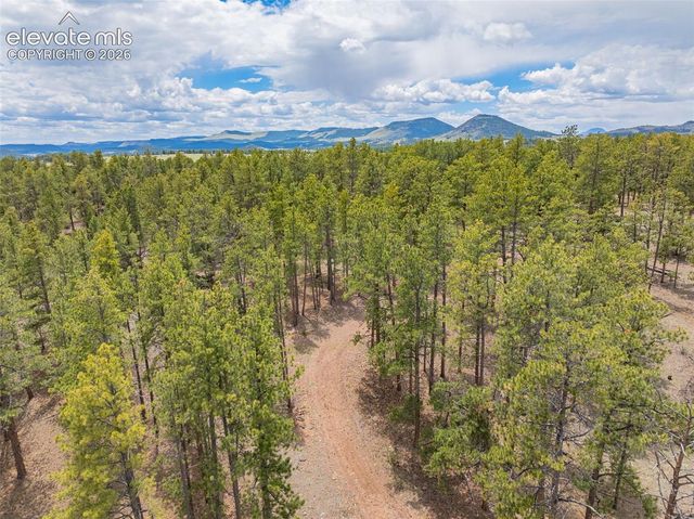 4250 Doe Valley Road, Guffey, CO 80820